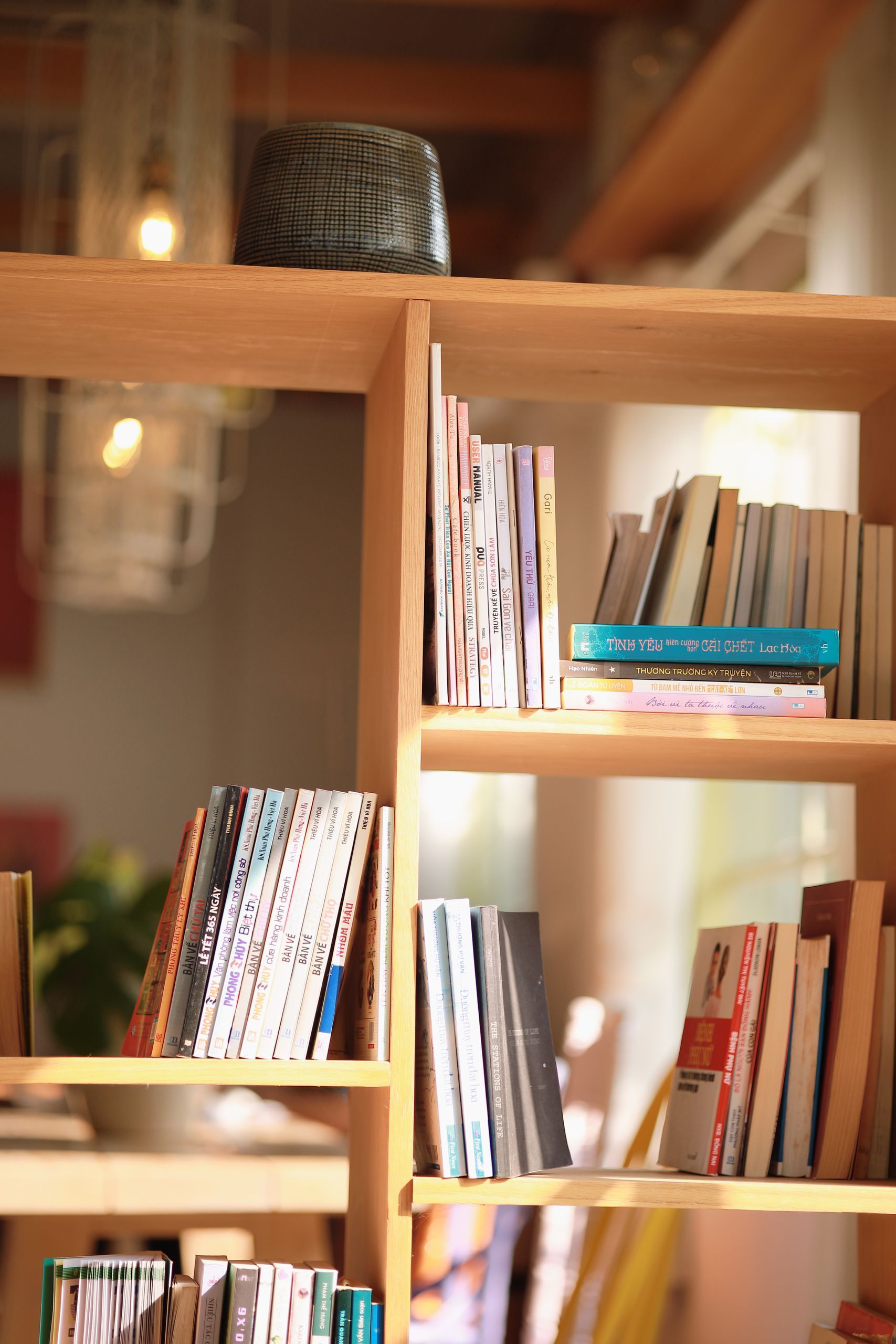 Wooden bookshelf with assorted books in a sunlit modern library